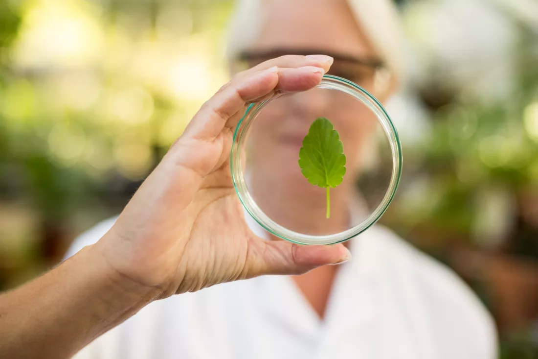 female-scientist-examining-leaf